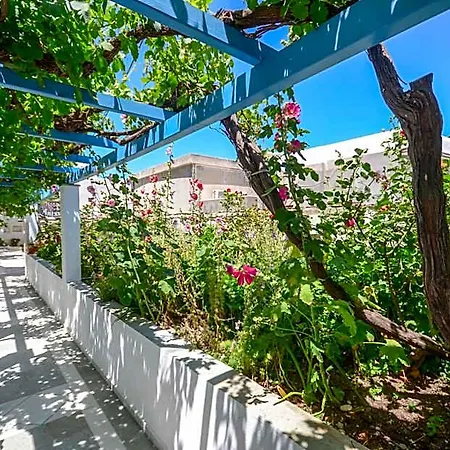Anixis 2* Naxos City