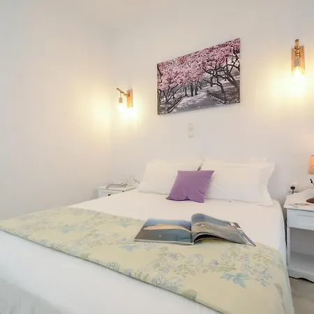 安尼克斯酒店 Naxos City