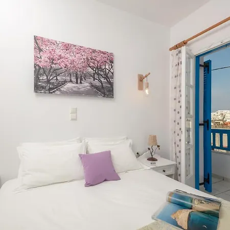 安尼克斯酒店 酒店 Naxos City