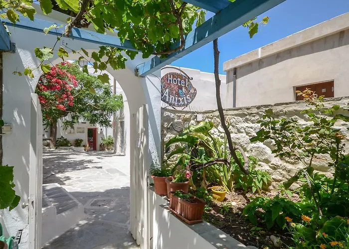 酒店 安尼克斯酒店