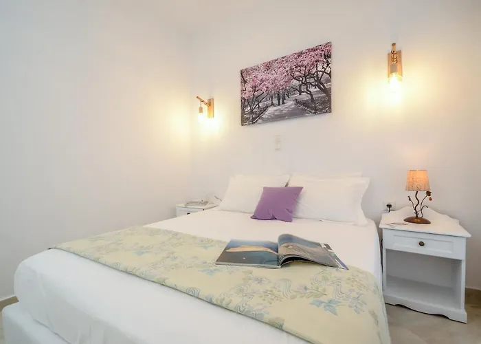 安尼克斯酒店 Naxos City