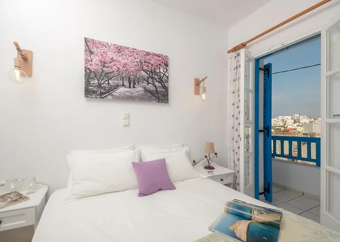 安尼克斯酒店 酒店 Naxos City